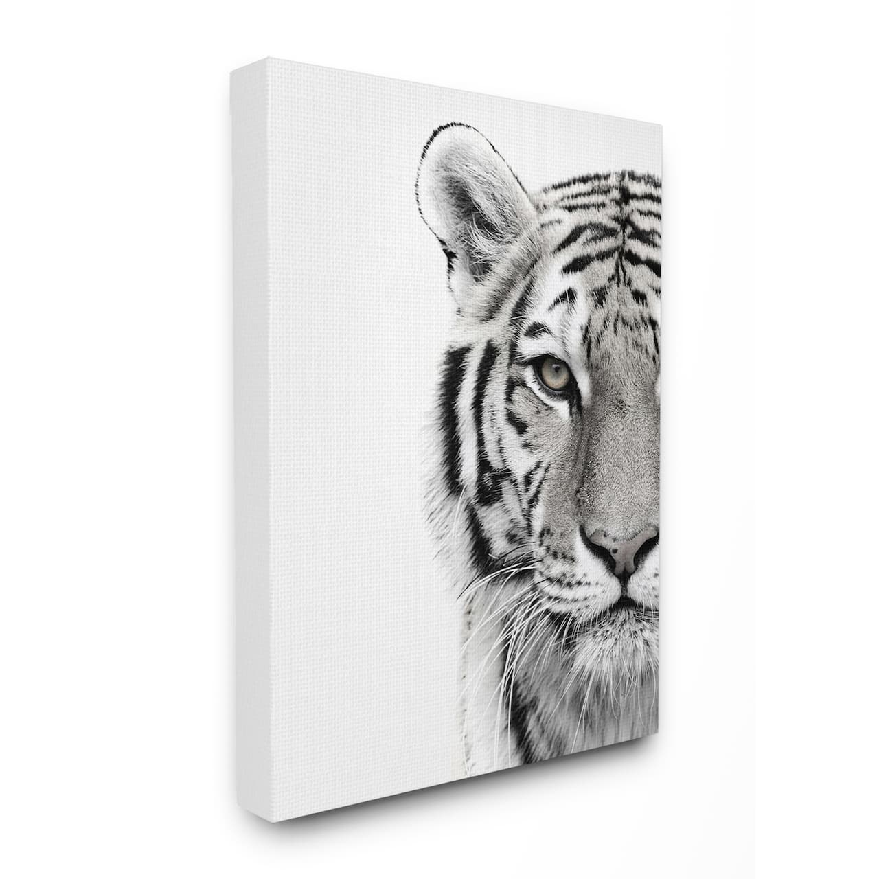 Stupell Industries White Tiger Black & White Photo Wall Accent